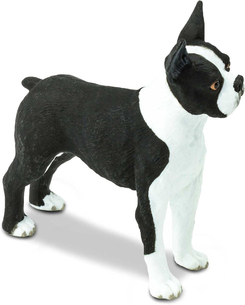 2.5" 3+ Safari Ltd. Boston Terrier Figurine - Lifelike Model Figure - Educational Toy for Boys, Girls, and Kids Ages