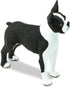 2.5" 3+ Safari Ltd. Boston Terrier Figurine - Lifelike Model Figure - Educational Toy for Boys, Girls, and Kids Ages