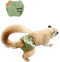 Adjustable Small Pet Diapers, Reusable Washable Squirrel Diapers Absorbent with Buckle Pants
