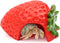 DQITJ 1 Pack Hermit Crab Hiding House Cute Strawberry Shape Rest Hideout Climbing
