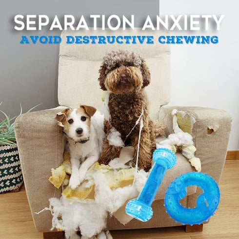 Puppy Chew Toys for Teething Puppies - 2 Pack Freezable Natural Rubber Toys for Small & Medium Dogs, Protects Oral