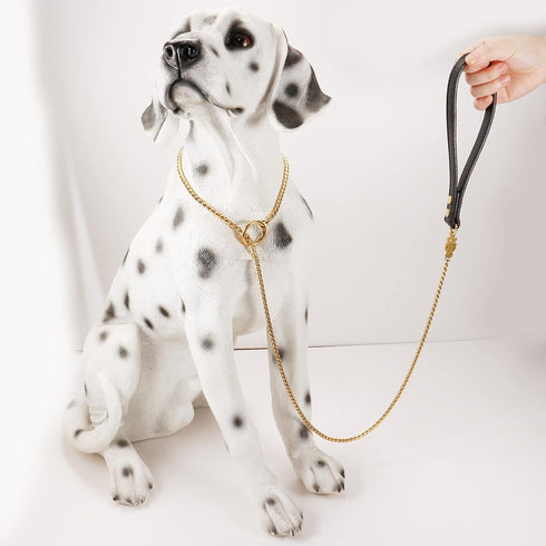 CaptainSteeL Stainless Steel Dog Leash, 3ft/4ft, Integrated Collar and Leash, 5mm Metal for Small and Large Pets