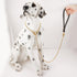 CaptainSteeL Stainless Steel Dog Leash, 3ft/4ft, Integrated Collar and Leash, 5mm Metal for Small and Large Pets