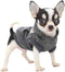 LOPHIPETS Dog Cotton Hoodies Sweatshirts for Small Dogs, Chihuahua Puppy Clothes, Charcoal/XS