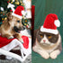 ANIAC Adjustable 3D Christmas Dog Hat for Small Dogs, Cat Santa Hat Costume