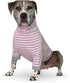 Tooth & Honey Big Dog Stripe Shirt – Pullover with Full Belly Coverage – Pink and Grey Shirt for Extra Large Dogs