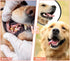 Dog Chew Toys, Tough Durable Rubber Puppy Toy for Aggressive Chewers, Interactive Toys for Medium Large Breed