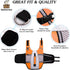 Lightweight Dog Life Jacket Swimming Vest, High Reflective Pet Lifesaver with Lift Handle, Leash Ring - Orange, L
