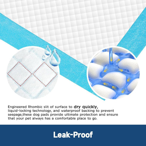 100 Count 22 22 x Disposable Dog Pee Pads, Super Absorbent Leakproof Puppy Pads Quick Drying, Pee Pads for Dogs, Potty