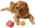 Dog Toy - Hamburger Themed Design, Extremely Durable, Squeaky, Perfect Chew and Fetch Toy, Unique Burger Packaging