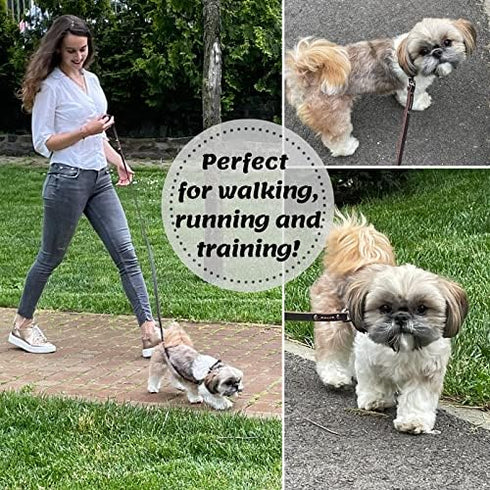 ADITYNA Premium Leather Dog Leash - 6 ft, Heavy-Duty, Soft & Strong for Small/Medium Dogs, Perfect for Walking,