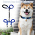 Heavy Duty Double Ended Collar Backup Clip for Dog Harnesses, Lockable Safety Clip for Prong Collar