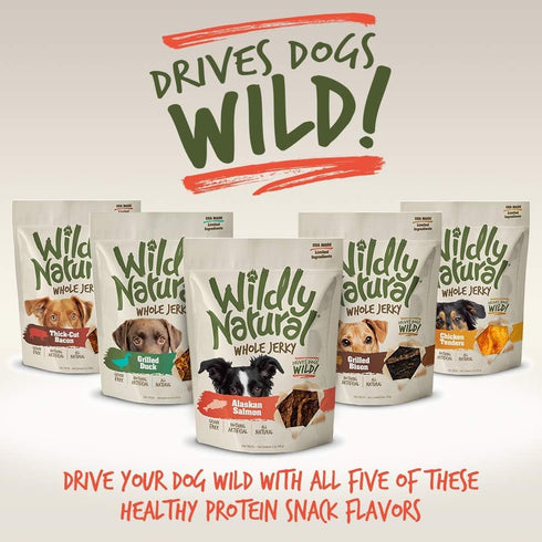 Whole Jerky Dog Treats - Limited Ingredient, Made in USA Jerky - Grain Free & Nothing Artificial - Alaskan Salmon, 5 oz