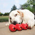 KONG Ring and Goodie Ribbon - Durable Rubber Chew Toy and Treat Dispensing Toy for Large Dogs