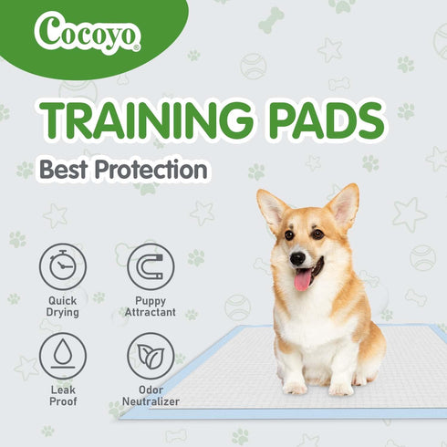 COCOYO Dog Training Pads, Large Size Eliminating Urine Odor Puppy Pads, Premium Dog Pee Pads Value Pack (75 Count)