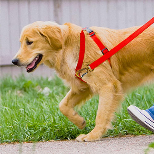 360º Swivel Locking Carabiner 2" for Securing Pets, Dog Leash and Harness, Camping, Hiking, Keychains (2 Pack)