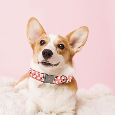 Elegant little tail Dog Collar, Valentine's Day Pet Collar, Pink Dog Print Adjustable Collar for X-Small Dogs