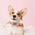Elegant little tail Dog Collar, Valentine's Day Pet Collar, Pink Dog Print Adjustable Collar for X-Small Dogs