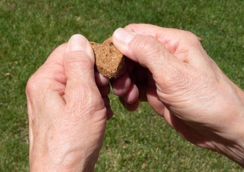 Zero/G Roasted Salmon Recipe Mini Dog Treats - 12 oz