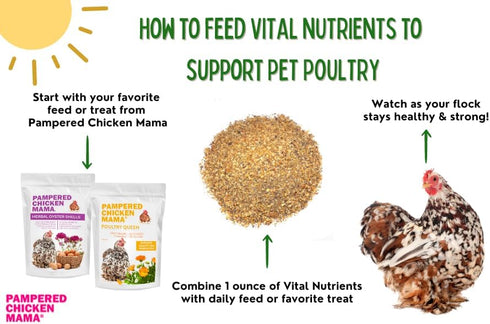 (5 Vital Nutrients: Chicken Vitamins for Feed & Molting Supplement, Egg Booster, Poultry & Chicken Vitamins - Pampered