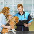 Noverlife Pet Grooming Jacket - XL Lightweight Hair Repellent Shirt Style Smock for Dog Cat Grooming