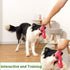 KOL Plush Dog Toy - Squeaky Interactive Chew Toy for Small and Medium Dogs, Mouse Shape