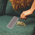 2 Pack Pet Hair Remover Pumice Stone for Dog Cat Hair Removal, Quickly Remove Pet Fur from Carpet, Furniture, Car,