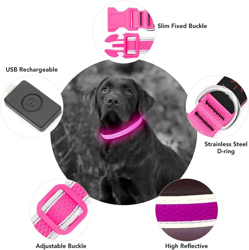 YFbrite Light Up Dog Collar, USB Rechargeable LED Puppy Collar, Adjustable Glowing Lights for Night Walking