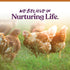 Manna Pro 7-Grain Ultimate Chicken Scratch - Non-GMO Natural Ingredients Scratch Grain Treat for Chickens, 10 lbs