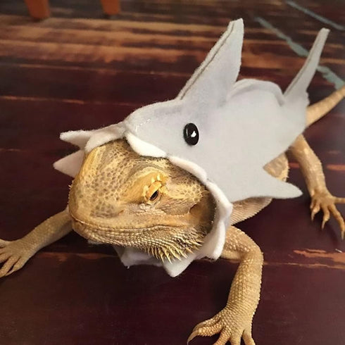 HAICHEN TEC Lizard Clothes - Shark Costume Outfit for Bearded Dragon, Handmade Apparel for Reptiles (M, Shark Costume)