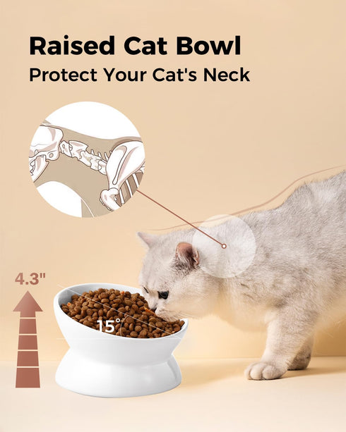 Elevated Cat Food Bowl, 5 Oz Ceramic Raised and Tilted Water Bowl, Anti Vomiting Dishes for Small Dogs, Cats