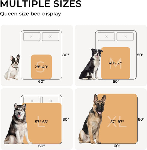 Waterproof Pet Blanket, Liquid Pee Proof Cover for Sofa Bed Couch, Reversible Sherpa Fleece Protector for Small Medium