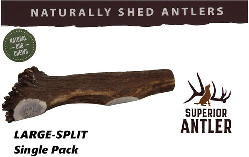 1 Large Split Antler Chew, All Natural Premium Grade A, 5"-9” Length, Made in The USA