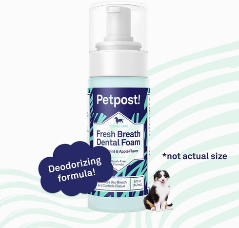 Petpost Fresh Breath Foam for Dogs, Mint & Apple Flavored Dental Solution That Eliminates Bad Breath, Natural Tooth