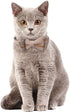 Faleela 2 Pack Breakaway Cat Collar with Bells, Adjustable Cat Collars with Bandana, Accessories for Small Dogs