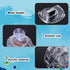 MiOYOOW Planaria Trap, Transparent Planaria Catcher Natural Aquarium Snail Trap for Aquarium Fish Tank Planaria Leech Small Snail by MiOYOOW