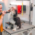 Dog Grooming Extension Strap, Grooming Loop Extender with 6 D-Rings, Rosered & Yellow