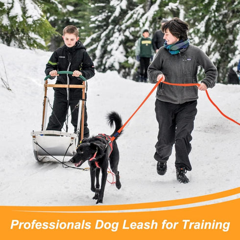 Vivifying Waterproof Dog Leash, 32FT Durable PVC Coated Webbing Long Leash with Soft Handle for Camping, Backyard,