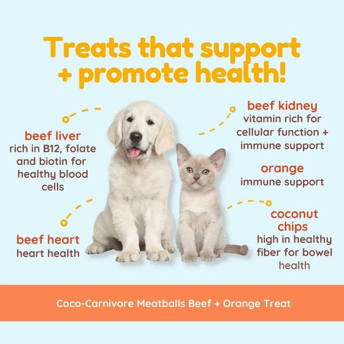 CocoTherapy 2.5 oz Coco-Carnivore Meatballs Beef/Orange/Coconut
