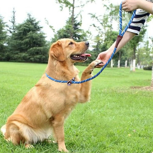 3 FT Dog Leash Slip Lead, 1/2 inch Rope Walking and Training Leash, Strong Nylon for Medium and Large Dogs (Purple)