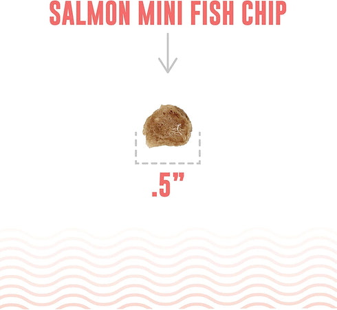 Icelandic+ Mini Fish Chips: Salmon 9oz - Dog Treats for Training & Small Dogs, 2 Ingredient Air-Dried Crunchy Chips