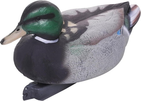 Realistic Mallard Duck Models, Hunting Decoys and Ornaments for Enthusiasts