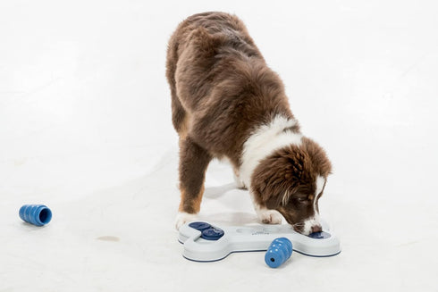 TRIXIE Flip Bone Strategy Game Beginner Dog Puzzle Level 1 Activity Treat Toy Interactive Play Enrichment for All Breeds
