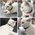 4 Sets Cat Bell for Dog Collar Charm, 2 Pack Stainless Steel Dog Tag Clips, 2 X-Small Pink