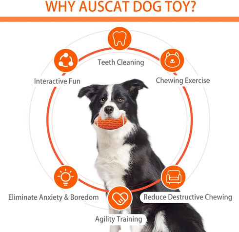 AUSCAT 2PCS Squeaky Rubber Dog Toy Balls | Indestructible 4.1" Football Fetch Toy for Small Medium Dogs, Green and
