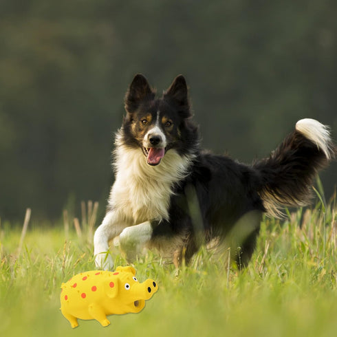 2 Pig Squeaky Dog Toy, PCS Interactive Rubber Dog Chew Toy - Durable Latex Spot Grunting Pig Toys that Oink for Small