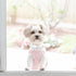 Elegant little tail Dog Collar with Bowtie, Adjustable Cute Dot Collar for X-Small Female or Male Dogs