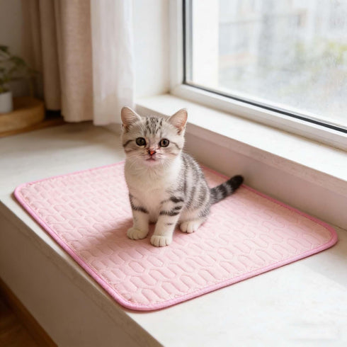 Summer Dog Cooling Mat, Washable Self Cool Pad for Small Medium Large Dogs and Cats, Pet Sleeping Pad for Crate, Bed