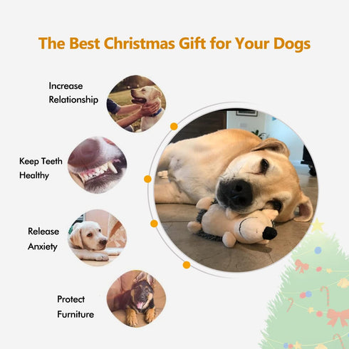 Durable Dog Squeaky Toys, Interactive Plush Chew Toys for Small, Medium, Large Dogs (Grey+Yellow, Hedgehogs)
