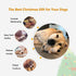 Durable Dog Squeaky Toys, Interactive Plush Chew Toys for Small, Medium, Large Dogs (Grey+Yellow, Hedgehogs)